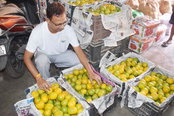 With the onset of the season for oranges, a fruit trader in Agartala on November 2 displayed fresh oranges in his store to attract customers.